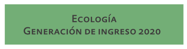 boton-ingreso-eco